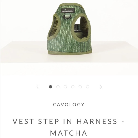 Cavology Dog bundle - Picture 1 of 5